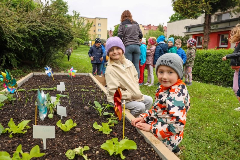 Raciborskie przedszkolaki zakładają własne warzywniki